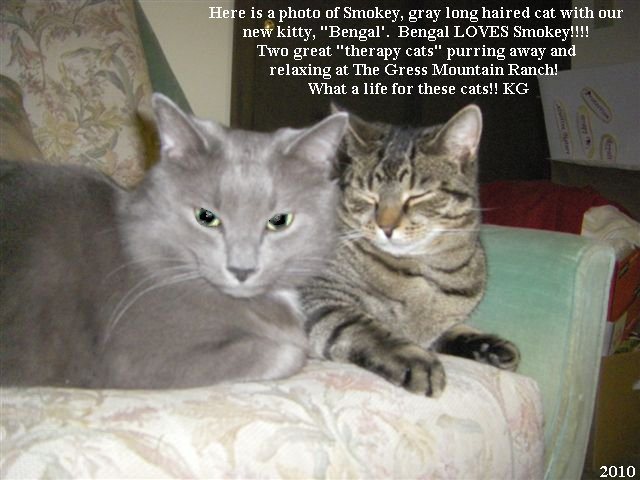 Bengal and Smokey
