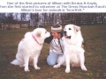 brutus-vol_allison_one