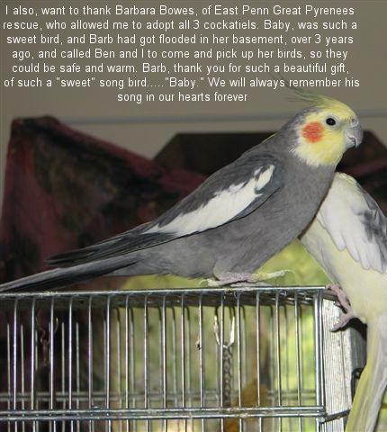 Sweet Tweeter